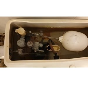 Bộ xả bàn cầu C436R